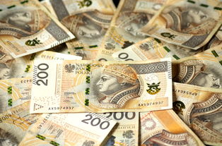 驾驶证贷5000微信口子,盘点十款1000元必下小贷