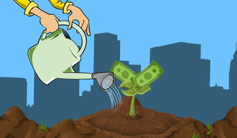 基金理财利率多少？货币基金和债券基金哪个更划算
