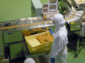 食品厂如何办理贷款业务  第1张