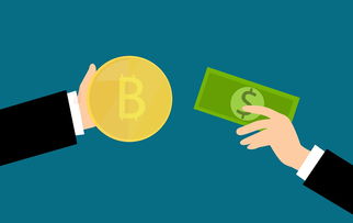 黑白户贷款全国接单秒下,本篇归档十款小额贷款不还会怎么样