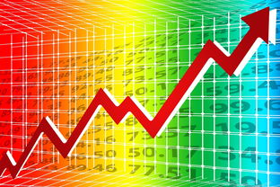 2024上海理财人员工资是多少？揭秘行业薪资水平