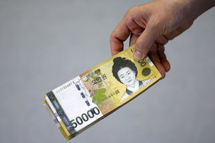 国家承认的29家借款平台,独家整理十款19借钱的平台100%能借到  第1张