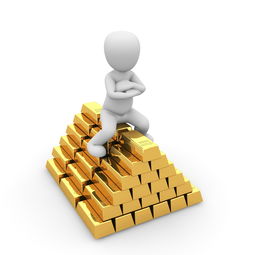 理财险的投保金额如何确定？有哪些因素会影响金额？