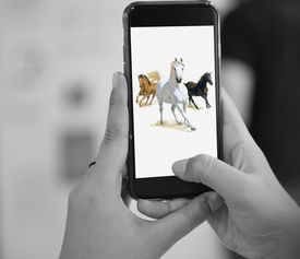 哪个app借款不看征信又好通过？这几个门槛低！
