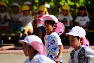幼儿园幼儿保险多少费用  第1张