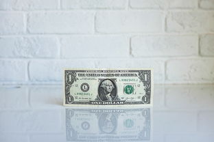 公司可以直接贷款多少钱