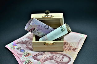金条贷款多久放款  第1张