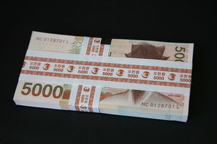 急用钱怎么办？怎么借钱马上到账5000？